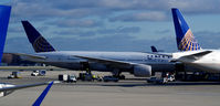 N214UA @ KORD - Loading cargo at the gate, O'Hare - by Ronald Barker