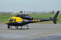 G-NLSE @ EGSH - Nice visitor ! - by keithnewsome