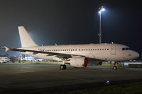 OE-LJG @ LOWW - Airbus A319