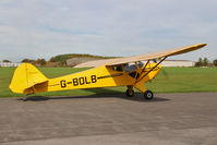 G-BOLB @ EGBR - Taylorcraft BC-12-65 at The Real Aeroplane Club's Pre-Hibernation Fly-In, Breighton Airfield, October 2013. - by Malcolm Clarke