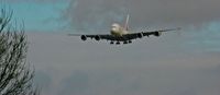 A6-EDR @ EGLL - Emirates Airlines, (A6-EDR) 2011 Airbus A380-861, c/n 083, on approach to land on 27L Heathrow. © PhilRHama