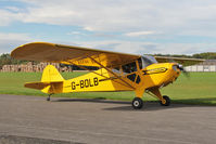 G-BOLB @ EGBR - Taylorcraft BC-12-65 at The Real Aeroplane Club's Pre-Hibernation Fly-In, Breighton Airfield, October 2013. - by Malcolm Clarke