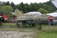 23 78 - so much space so why are they close to fences ? - by olivier Cortot