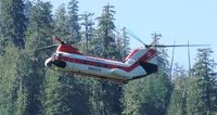 N191CH - Columbia Helicopter's Chinook long-line delivery, for construction of 210-foot span Staircase Rapids suspension cable footbridge, Olympic National Park, Sept. 2012. - by Bruke Klanke
