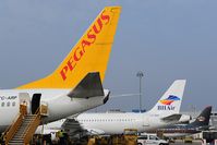 TC-ARP @ LOWW - Pegasus Boeing 737-800 - by Dietmar Schreiber - VAP