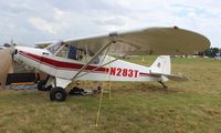 N283T @ LAL - Piper PA-18 - by Florida Metal