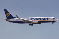 EI-DYZ photo, click to enlarge EI-DYZ photo, click to enlarge