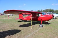 N436DC @ LAL - Cessna 140 - by Florida Metal