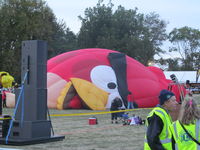 N333AB - Not a pitts!!! It's angry bird special shape Cameron Balloon  - by magnaman
