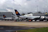D-AIGW @ EDDL - Long ride preparations at Terminal A are running.... - by Holger Zengler