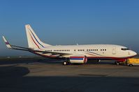 OE-IRF @ LOWW - Art Aviation Boeing 737-700