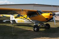 N82RA - CUBCRAFTERS INC, CC11-160, c/n CC11-00224 - by Timothy Aanerud