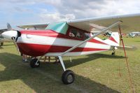 N2551C @ LAL - Cessna 170B - by Florida Metal