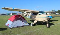 N3689A @ LAL - Piper PA-18 - by Florida Metal