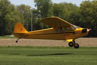 N6113H @ C77 - Piper J3C-65 - by Mark Pasqualino