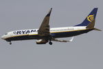 EI-DHW photo, click to enlarge