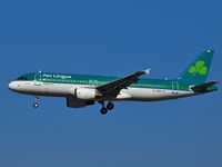 EI-DEB @ EDDB - Aer Lingus beim Landeanflug auf den Flughafen Berlin- Schönefeld (SXF) - by peterspixel