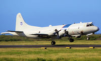 N741SK @ TNCC - TNCC - by Daniel Jef