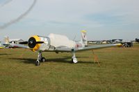 N4294X photo, click to enlarge