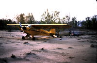 N38437 @ N/A - N38437 camping on Bird Island in Mississippi River by Memphis in 1967 - by Dan McCaffery