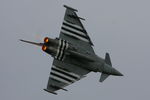 ZK308 photo, click to enlarge ZK308 photo, click to enlarge