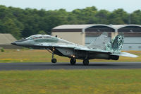 5304 @ EHGR - Slovak AF MiG-29 5304 in nice tiger livery - by Nicpix Aviation Press  Erik op den Dries