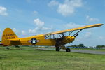 G-FUZZ photo, click to enlarge G-FUZZ photo, click to enlarge