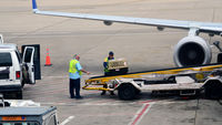 N637RW @ KORD - Pet pickup at the aircraft O'Hare - by Ronald Barker