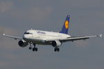 D-AILA @ EGCC - Lufthansa - by Chris Hall