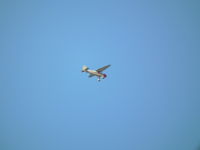 G-BUCH - Taken over Hilfield Dorset on 31/07/2014 at 16:54. - by Chris Wright