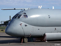 XV244 photo, click to enlarge XV244 photo, click to enlarge