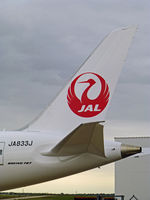 JA833J @ FTW - JAL 787 at Forth Worth Mecham Field - by Zane Adams