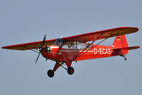 D-ECAS @ EDST - at Hahnweide - by Volker Hilpert