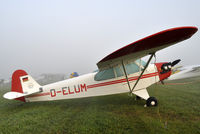 D-ELUM @ EDST - at Hahnweide - by Volker Hilpert