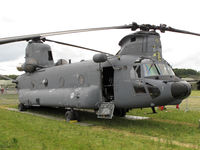 D-891 @ EHGR - Gilze Rijen airshow - by olivier Cortot