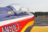 N60LT photo, click to enlarge