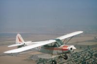 N3694Z - Could be wrong on the N number but this PA 18 ( one well used cub ) was being flown by my flying buddy Wes. He was towing gliders from Sky Sailing airport in Fremont,Ca. around 1977.