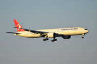 TC-JJI @ LOWW - Arriving from Istanbul - by David Pauritsch
