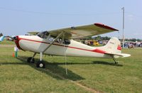 N3016A @ KOSH - Cessna 170B - by Mark Pasqualino