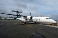 ZK-NEO @ NZAA - At Auckland - by Micha Lueck