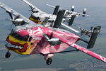 OE-FDN @ INFLIGHT - Pink Aviation Skyvan - by Dietmar Schreiber - VAP