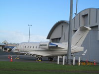 N429WG photo, click to enlarge