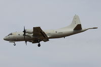 60 06 @ LMML - Lockheed P-3C Orion 60+06 German Navy - by Raymond Zammit