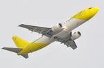 EI-ELZ photo, click to enlarge EI-ELZ photo, click to enlarge
