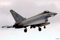 ZK321 photo, click to enlarge ZK321 photo, click to enlarge