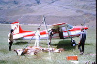 ZK-CYA @ ? - Saw this plane unloading deer carcasses in 1967 - by Colin Bassett