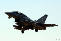 ZJ800 photo, click to enlarge ZJ800 photo, click to enlarge