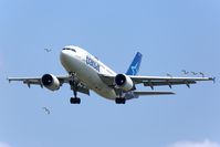C-GTSF @ LEBL - The plane and the birds - by Maynat