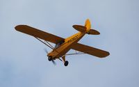 N426CC @ KOSH - CC11-160 - by Mark Pasqualino