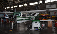 N3213X @ KFTW - Vintage Flight Museum - by Ronald Barker